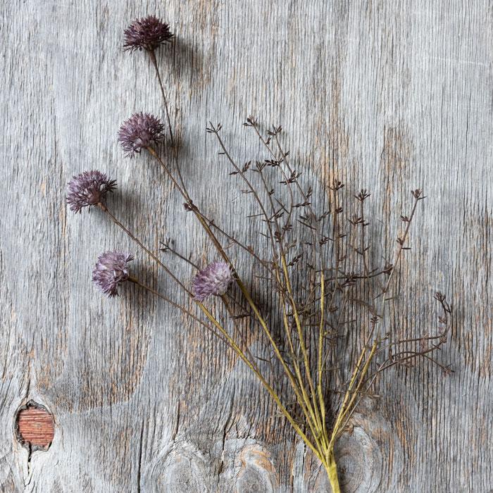 MELALEUCA PURPLE STEM