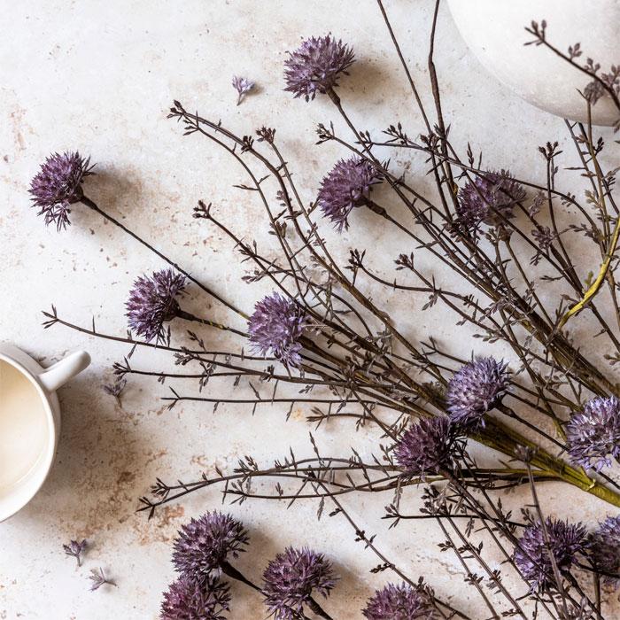 MELALEUCA PURPLE STEM