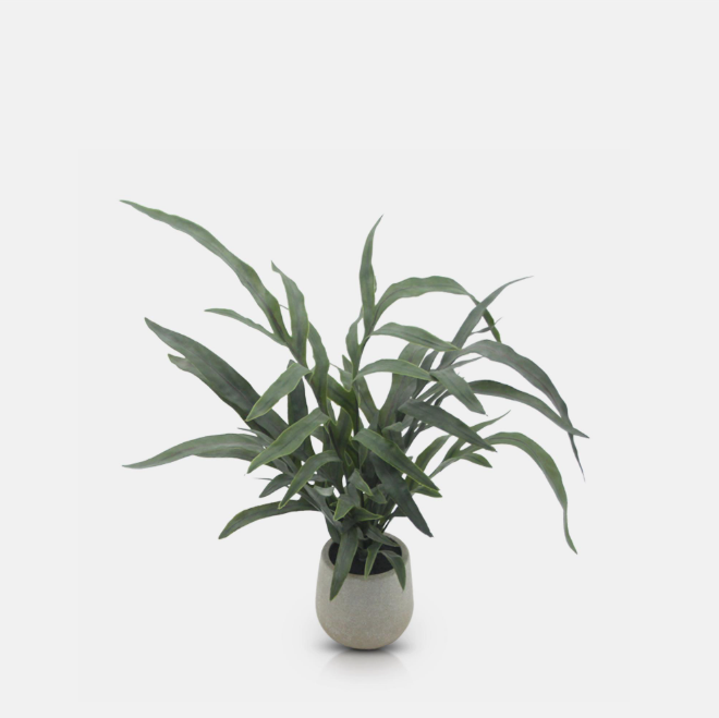 Artificial Eucalyptus in Pot