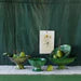 Tamegroute Compote Green Small